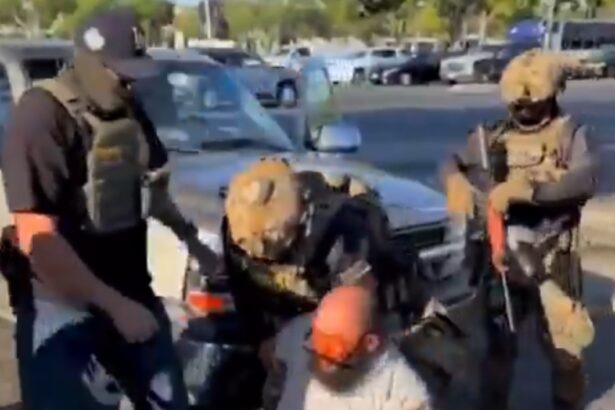 FAFO: Federal Agents Tackle, Mace Anti-ICE Protestor Who Slashed Tires of Federal Agents’ Vehicle During Immigration Raid in California (VIDEO) |