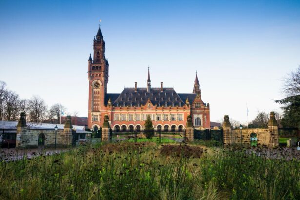 Five Reasons Why the ICJ Climate Advisory Opinion Matters 