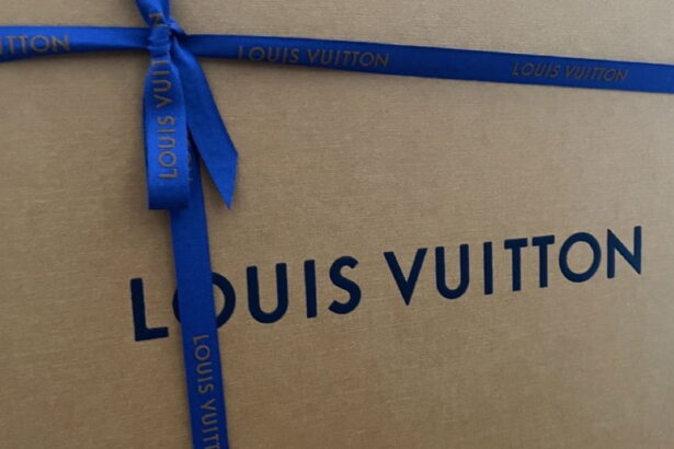 Flash mob raids Louis Vuitton on Mag Mile, steals 0,000 in handbags