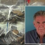 Florida ‘Nail Bandit’ accused of sabotaging fire rescue vehicles with sharp objects