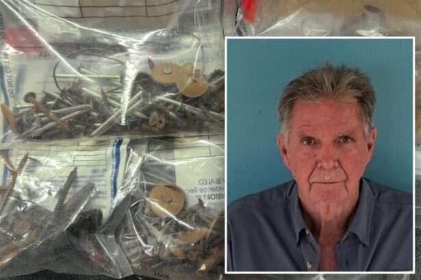 Florida ‘Nail Bandit’ accused of sabotaging fire rescue vehicles with sharp objects