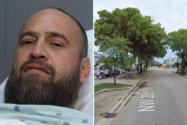 Florida driver yells ‘Psych!’ at cop and flees — only to crash into 18-wheeler