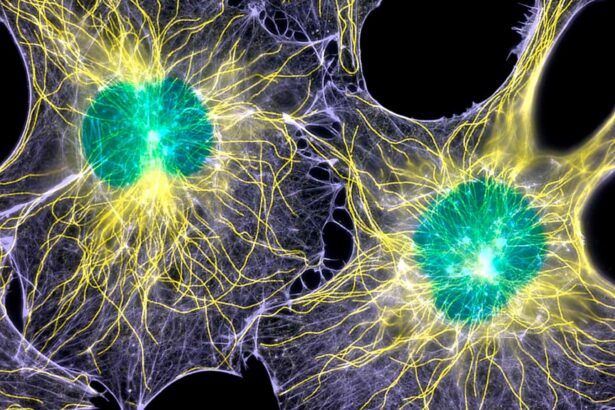 Fresh understanding of how mouths heal may lead to a ‘scar-free world’