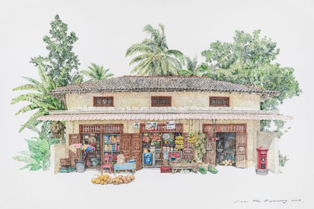 From Vietnam to Nepal, Lee Me Kyeoung Expands the Geographic Bounds of Her Corner Store Drawings — Colossal