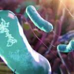 Genetically tailored microbes could tweak our microbiomes