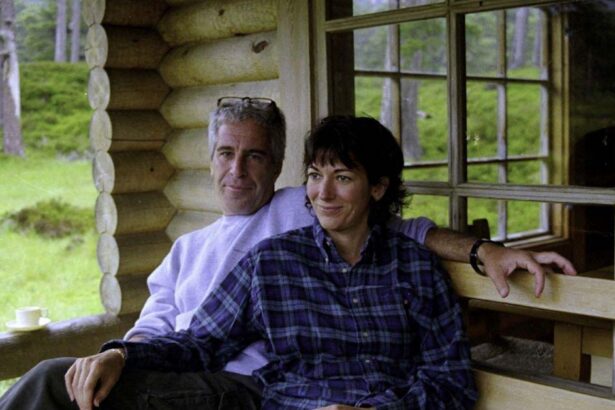 Ghislaine Maxwell Says Epstein’s 2007 Plea Deal Granted Her Immunuty
