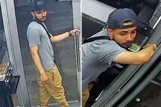 Good Samaritan bashed in head with baseball bat trying to break up NYC brawl