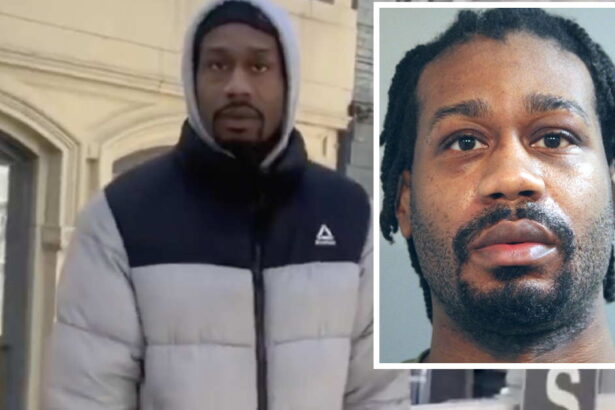 Got him! Serial CTA groper detained after viral videos, 6 assaults: prosecutors