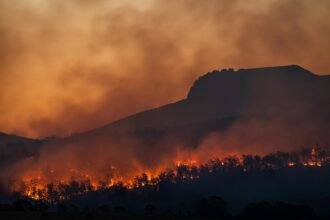 Government rollbacks of climate monitoring are a public health emergency, say researchers