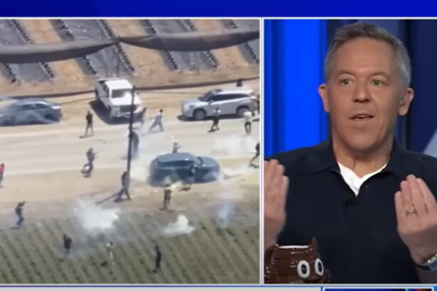 Greg Gutfeld: ‘The Modern Democrat Picks the Wrong Side in Every Contest – Imagine Watching Jaws and Rooting for the Shark’ (VIDEO) |