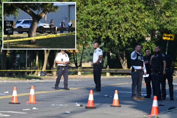 Gunmen in ski masks shoot two men dead outside NYC park, then escape on moped: cops