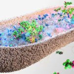 Gut Bacteria Found to Soak Up Toxic Forever Chemicals : ScienceAlert