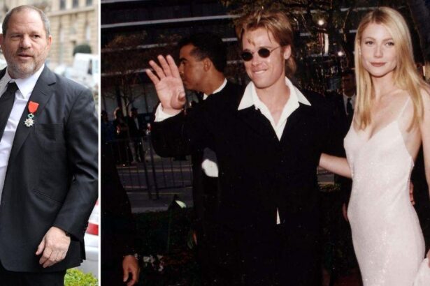 Harvey Weinstein Confesses to Making a Pass at Gwyneth Paltrow