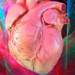 Heart Cancer Strikes Very Rarely. An Expert Reveals Why. : ScienceAlert