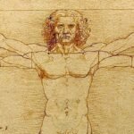 Hidden Detail in Crotch Solves 500-Year-Old Leonardo Da Vinci Mystery : ScienceAlert