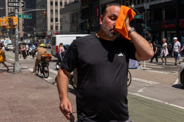 Hot Summer 2025 Could Be the Coolest for the Rest of Our Lives: 6 Things to Know