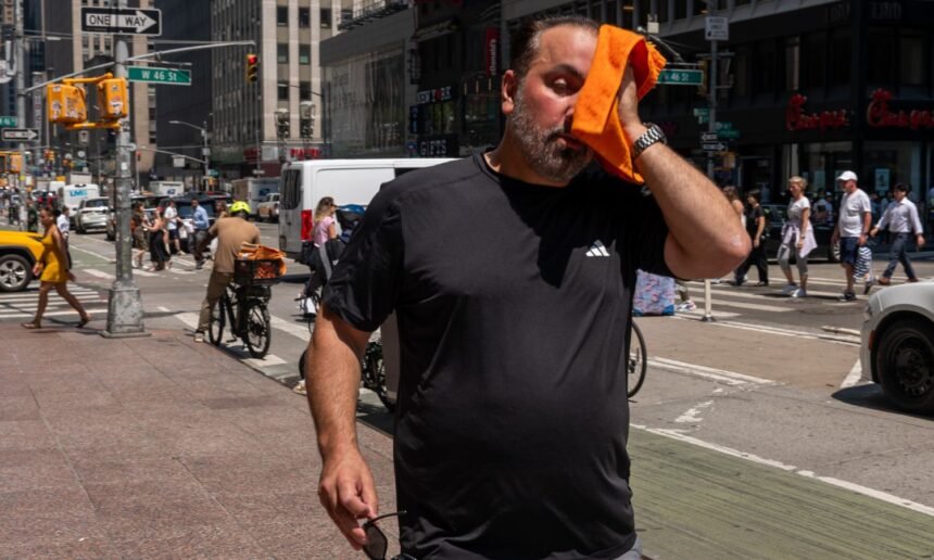 Hot Summer 2025 Could Be the Coolest for the Rest of Our Lives: 6 Things to Know