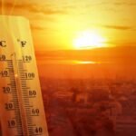 How To Combat the Urban Heat Island Effect at Home