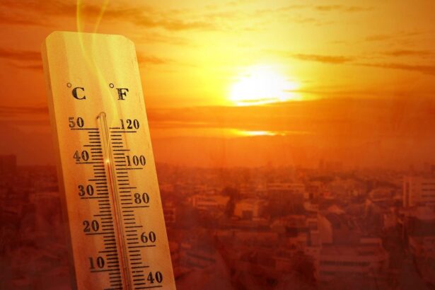 How To Combat the Urban Heat Island Effect at Home