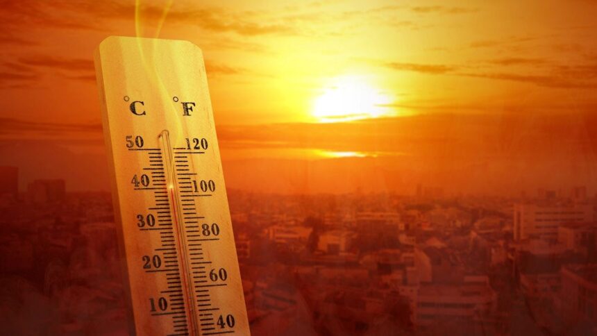 How To Combat the Urban Heat Island Effect at Home