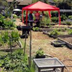 How To Form A Community Garden