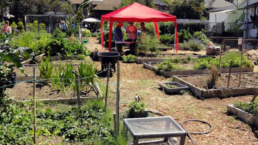 How To Form A Community Garden