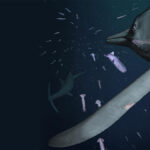 How an ancient marine predator snuck up on its prey