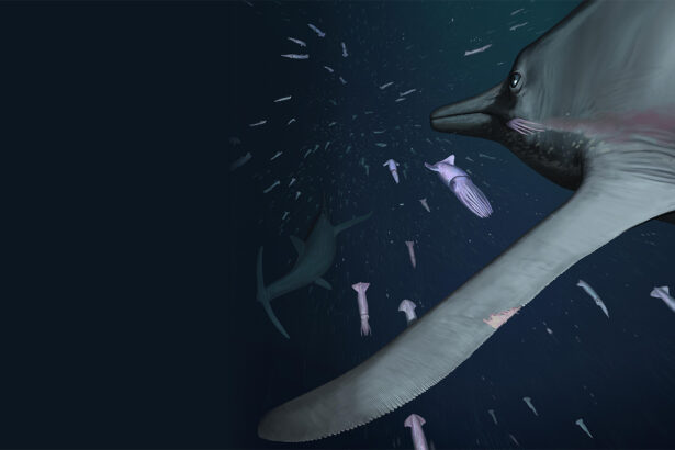 How an ancient marine predator snuck up on its prey