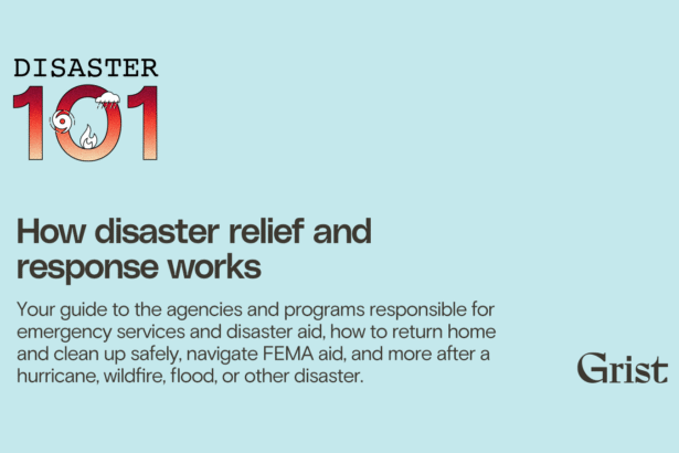 How disaster relief and response work