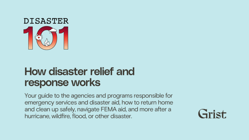 How disaster relief and response work