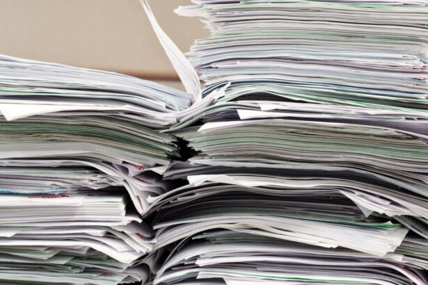 How government use of AI could hurt democracy