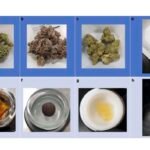 How strong is your weed? Study shows labels often misrepresent potency