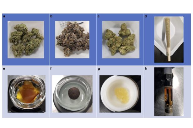 How strong is your weed? Study shows labels often misrepresent potency