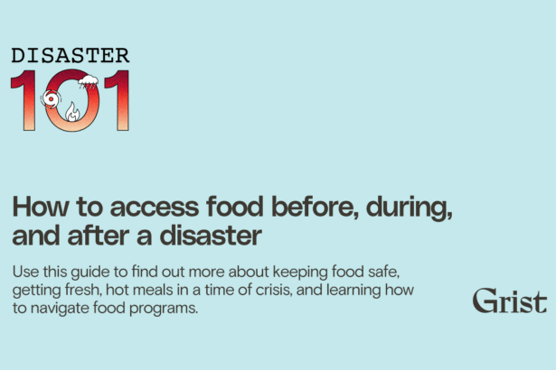 How to access food before, during, and after a disaster