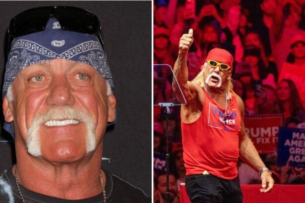 Hulk Hogan Had Eyes On a Presidential Run Before Tragic Death