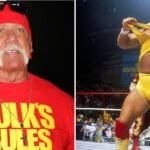 Hulk Hogan ‘Hit Pain Pills Hard’ After Brutal Career As WWE Icon Dies