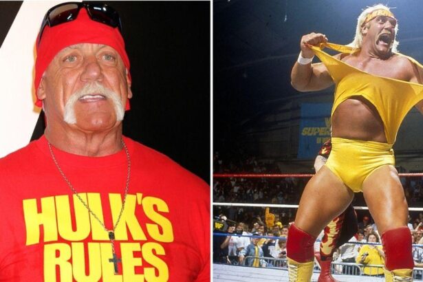 Hulk Hogan ‘Hit Pain Pills Hard’ After Brutal Career As WWE Icon Dies