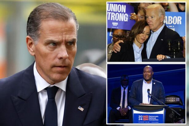 Hunter Biden blames Dems’ disloyalty to his father for their defeat