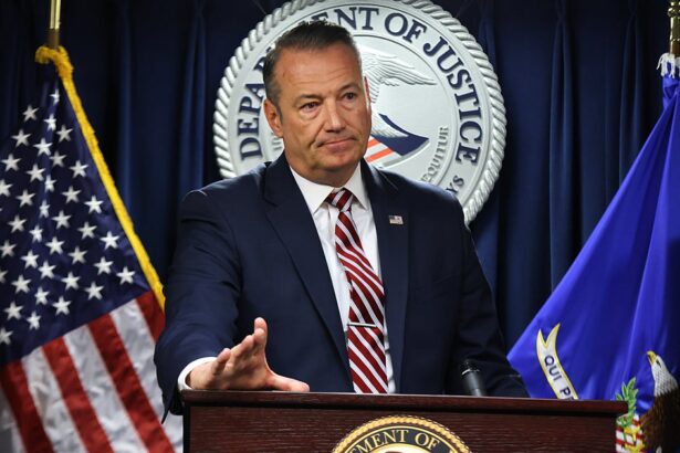 ICE Chief Doubles Down On Arresting Undocumented People With No Criminal History