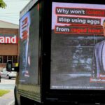 Iceland ‘left with egg on its face’