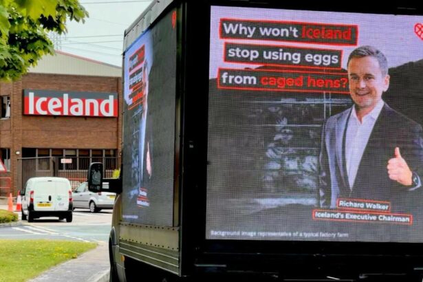 Iceland ‘left with egg on its face’