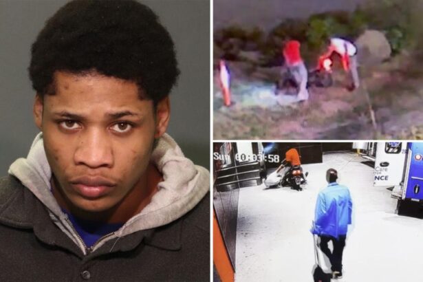 Illegal migrant charged in CBP officer’s shooting in dramatic court showdown with victim’s coworkers