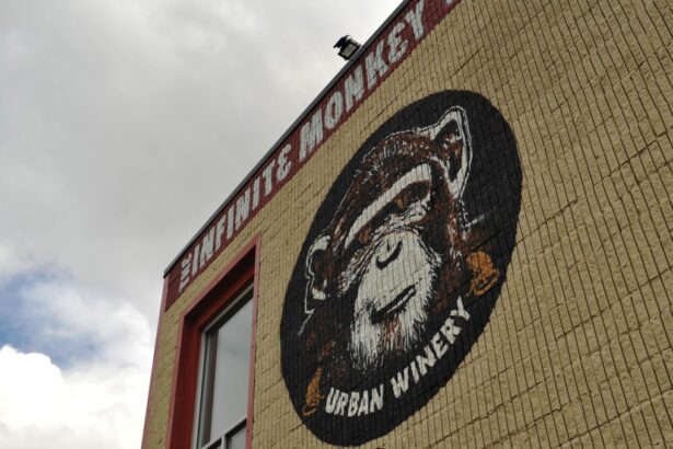 Infinite Monkey Theorem winery’s equipment ‘held hostage’ by landlord, investor says