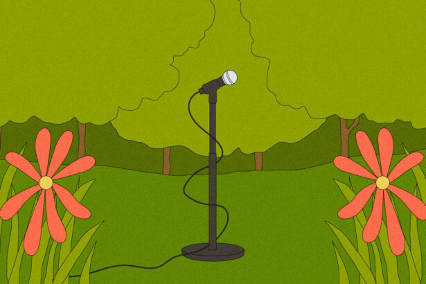 Inside the movement to recognize nature as an artist – Grist