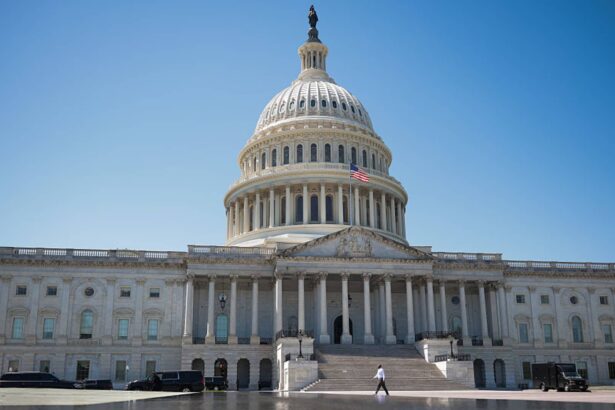 Investor excitement over friendlier regulators