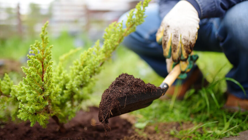 Is an Everyday Garden Trick a Key to Carbon Capture?