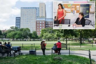 Jamaica, Queens tries to rebrand with 0K marketing campaign as locals brace for change