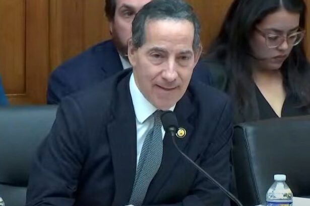Jamie Raskin Sues Trump For Blocking Access To Federal Immigration Facilities