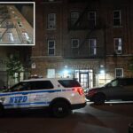 Jealous NYC man fatally stabs girlfriend, cops say