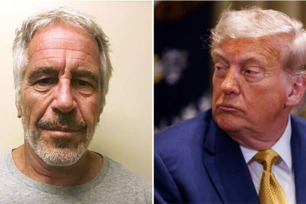 Jeffrey Epstein Spent His Last Years ‘Afraid’ of Ex-Pal Trump